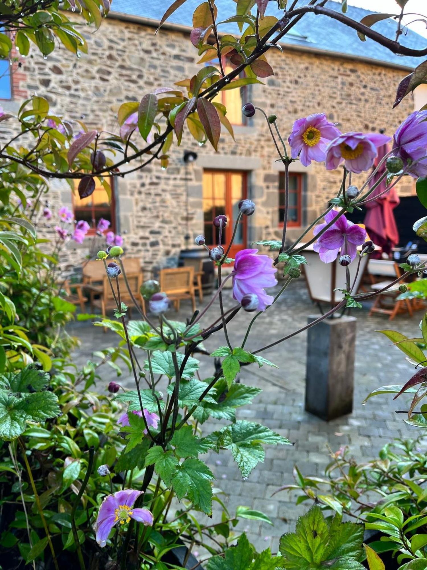 Domaine Du Tertre Ychot Hotel Дол-де-Бретан Екстериор снимка